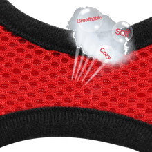 Padded Dog Harness and Leash Set