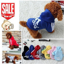 Stylin' Doggy Sweater