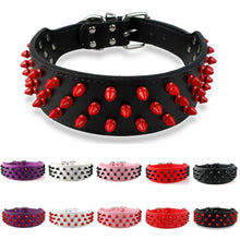 Leather Dog Collar With Spikes