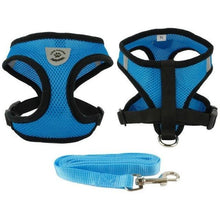 Breathable Padded Mesh Dog Harness and Leash Set