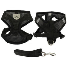 Breathable Padded Mesh Dog Harness and Leash Set