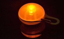 Bright LED Pet Clip