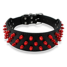 Leather Dog Collar With Spikes