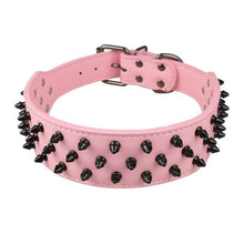Leather Dog Collar With Spikes