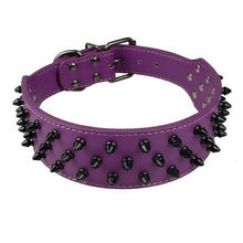 Leather Dog Collar With Spikes
