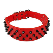 Leather Dog Collar With Spikes
