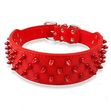 Leather Dog Collar With Spikes