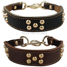 Double Layer Genuine Leather Studded Martingale Dog Collar